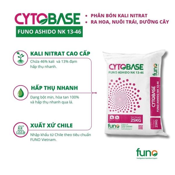 Phân CYTOBASE FUNO ASHIDO NK 13-46 - ảnh 2
