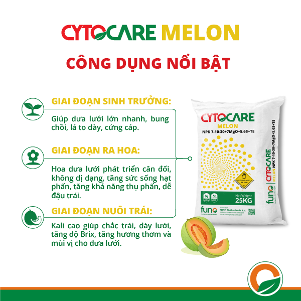 CYTOCARE MELON - ảnh 3
