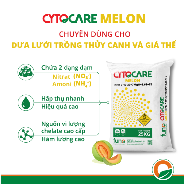 CYTOCARE MELON - ảnh 2