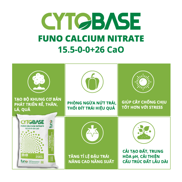 CYTOBASE FUNO CALCIUM NITRATE - ảnh 5