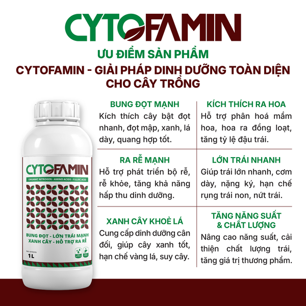 PHÂN HỮU CƠ CYTOFAMIN - ảnh 4