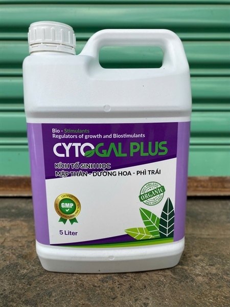 Tảo Biển CYTOGAL PLUS - ảnh 8