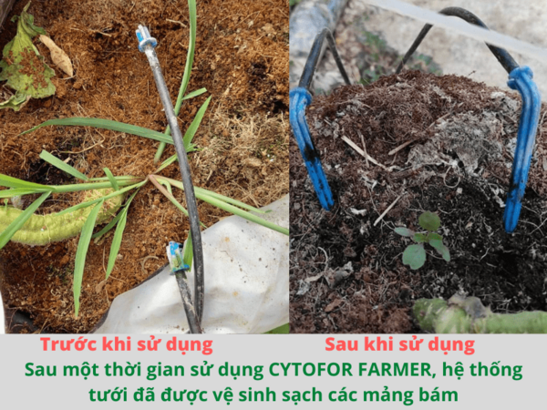 CYTOFOR FARMER - ảnh 3