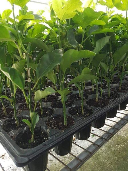 News post 3 work together for higher yields