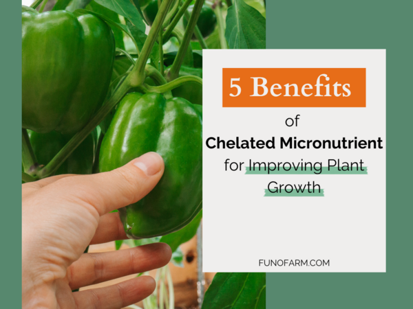 5 Benefits of Chelated Micronutrient Fertilizers for Improving Plant Growth