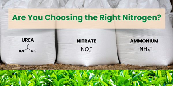 Understanding the Different Nitrogen Fertilizer Forms for Optimal Use Efficiency