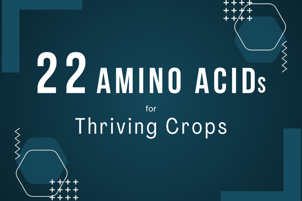 Decoding the 22 Amino Acids for Thriving Crops