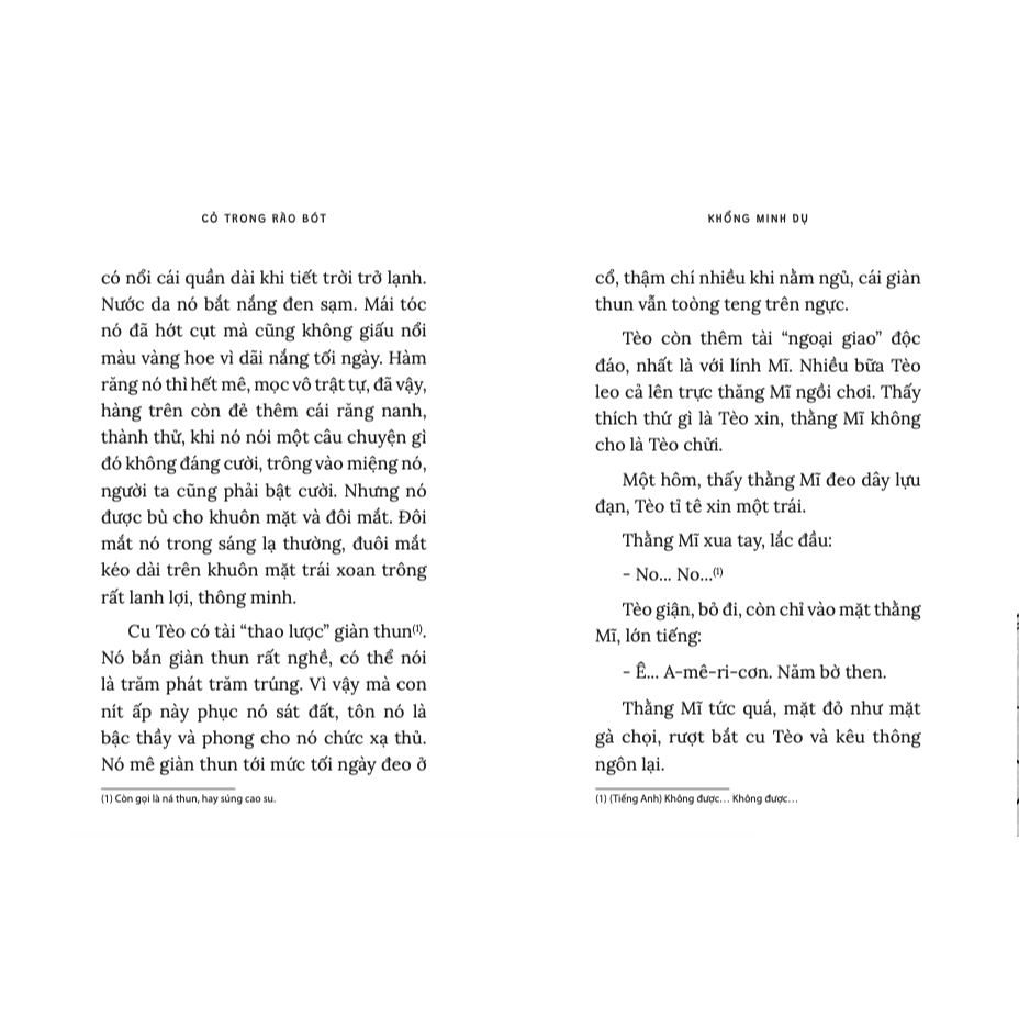 Sách - Cỏ trong rào bót 3 Sách - Cỏ trong rào bót - Ảnh 3