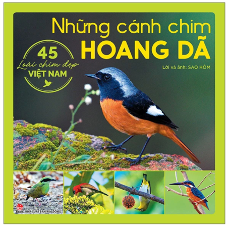 Sách - Những cánh chim hoang dã