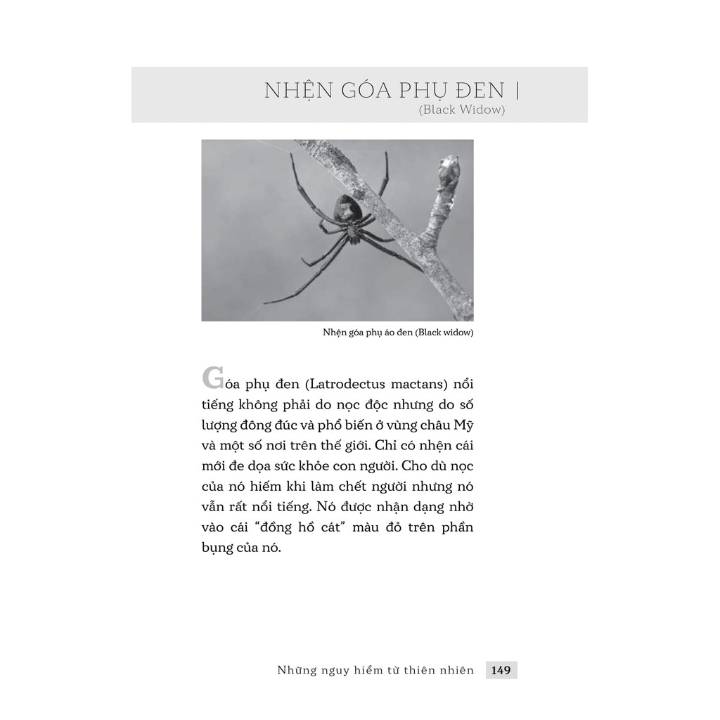 Sách - Những nguy hiểm từ thiên nhiên 9 Sách - Những nguy hiểm từ thiên nhiên - Ảnh 9