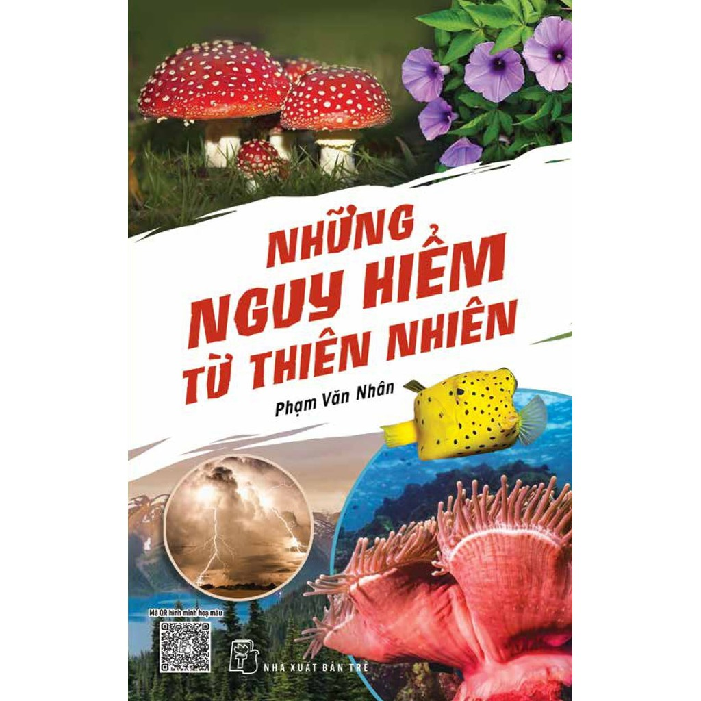 Sách - Những nguy hiểm từ thiên nhiên 2 Sách - Những nguy hiểm từ thiên nhiên - Ảnh 2