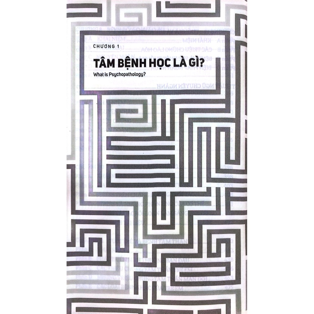 Sách - Tâm bệnh học - Phạm Toàn 4 Sách - Tâm bệnh học - Phạm Toàn - Ảnh 4