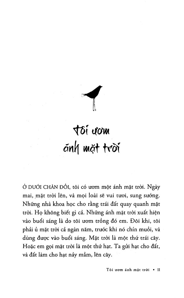 Sách - Tôi ươm ánh mặt trời 4 Sách - Tôi ươm ánh mặt trời - Ảnh 4