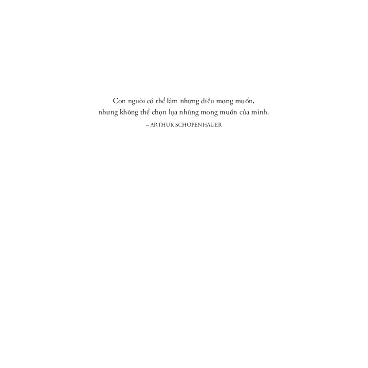 Sách - Bầy rùa chồng chất (John Green) 2 Sách - Bầy rùa chồng chất (John Green) - Ảnh 2