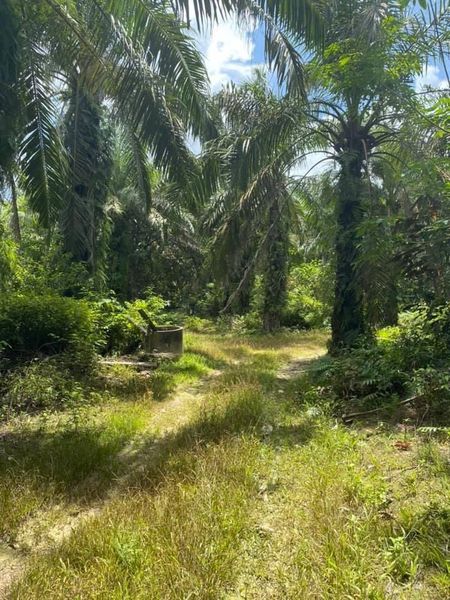 Jual rumah Yong Peng dengan semakan nilai dan dokumen oleh Adi Zaini