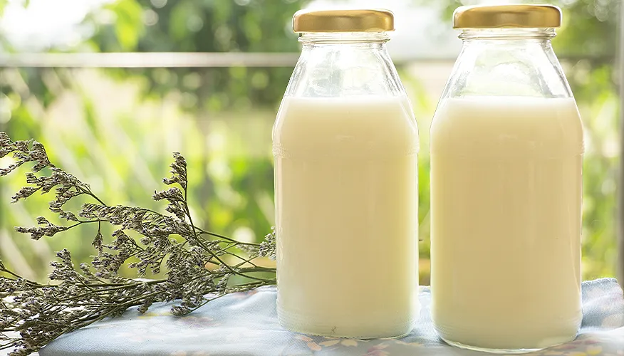 5 Best Milk For Elderly