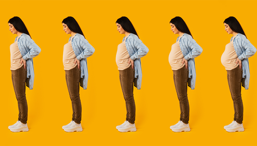 Stages of pregnancy