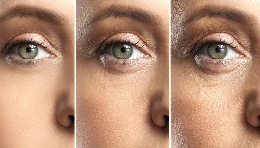 Understanding the aging process