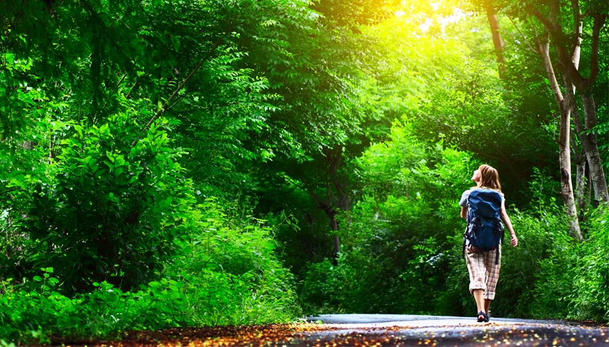 Nature activities and exercises for brain health