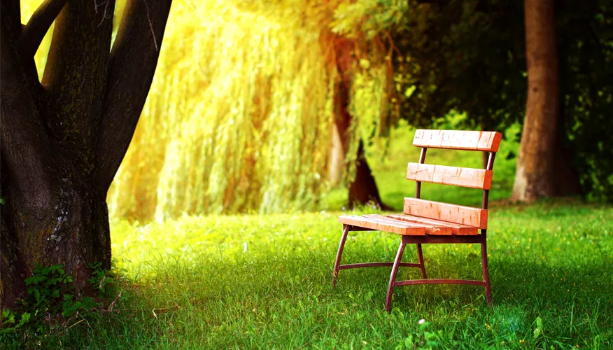 Understanding loneliness