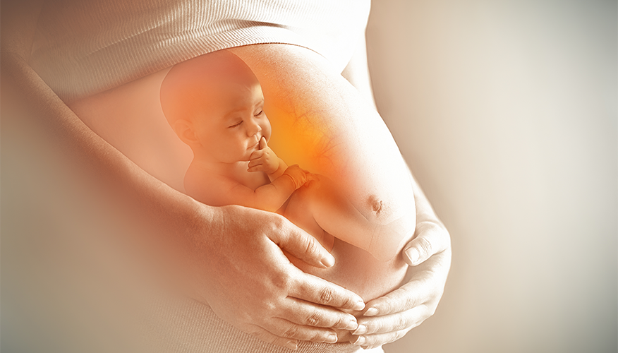 Motherhood-a journey