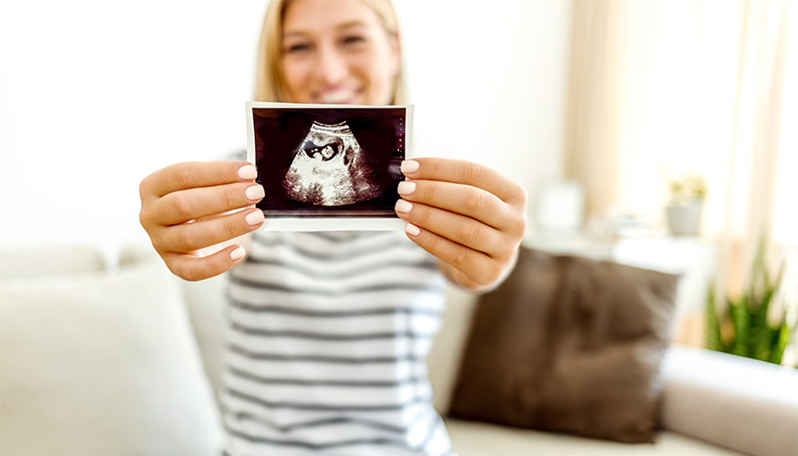 Stages of growth during the 1st trimester