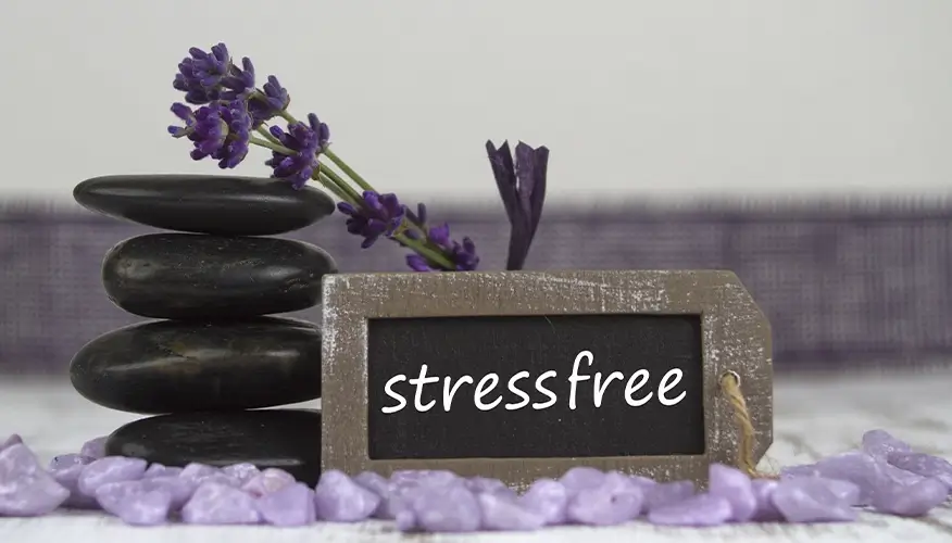 Popular herbal supplements for stress and anxiety