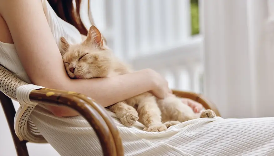 How do pets relieve stress and anxiety