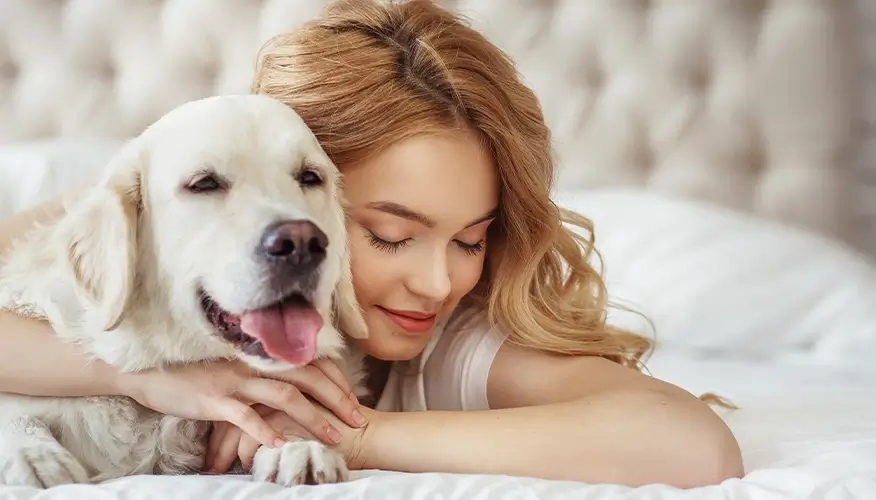 Having a pet: The human-pet bond