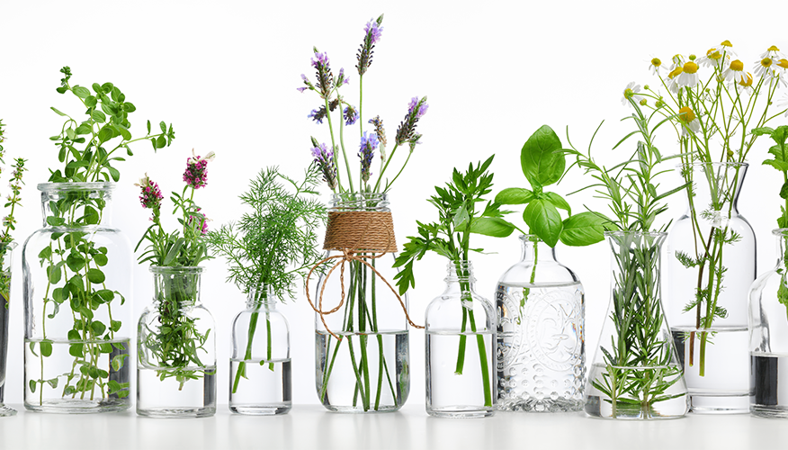 Herbs: Can they help during pregnancy?
