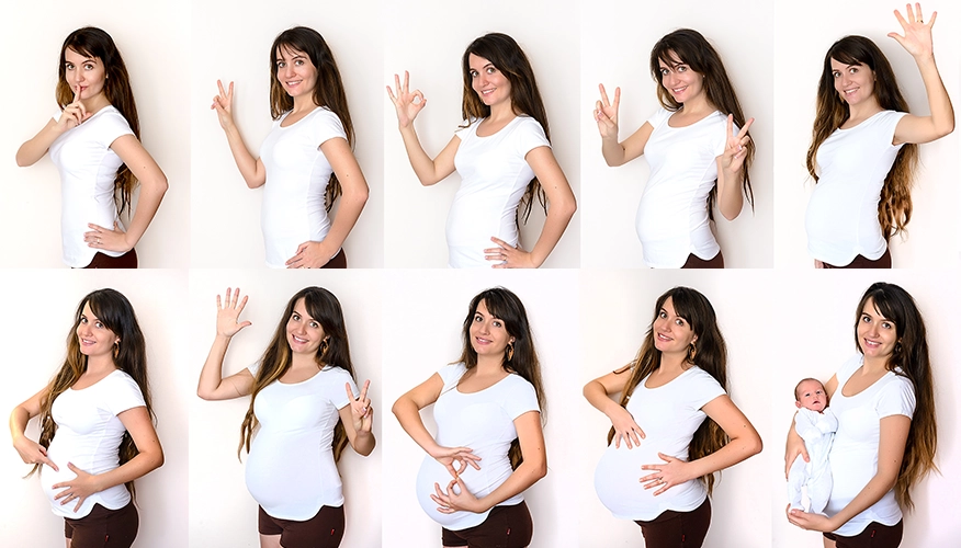 Breaking Down The Pregnancy Months