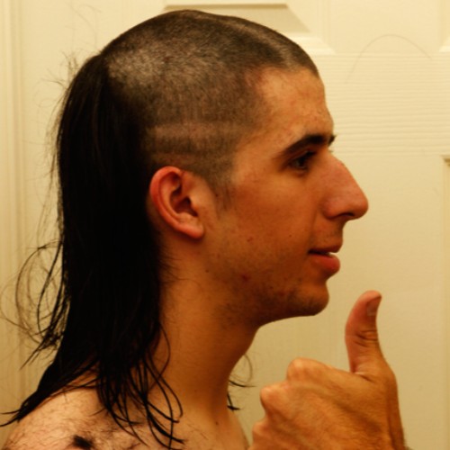 Mullet