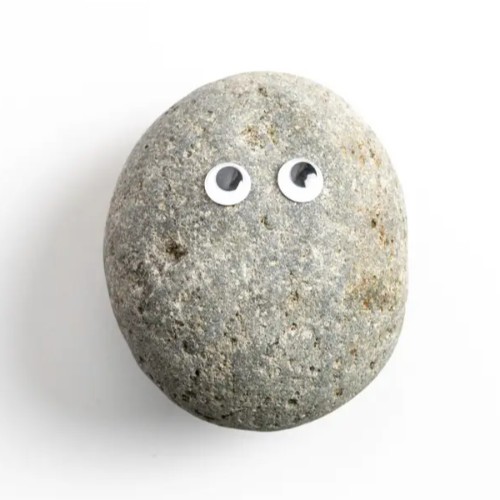 Pet Rock