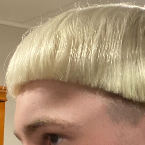 Bowl Cut
