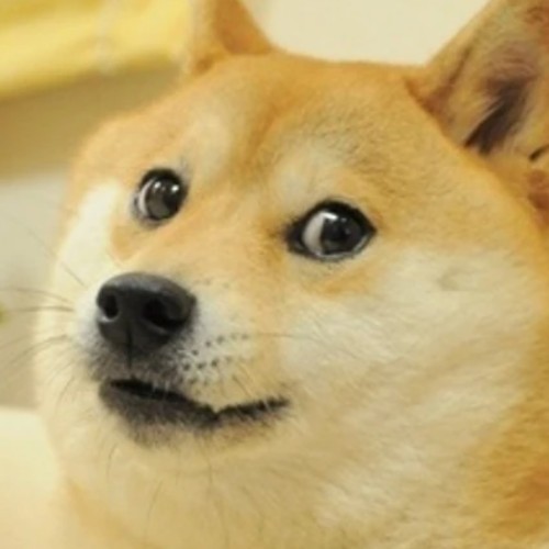 Doge