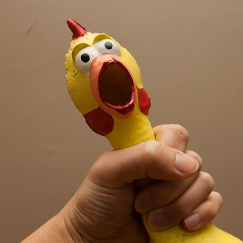 Rubber Chicken