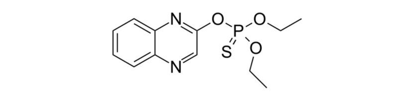 Nông Dược Xanh - Hoạt chất Quinalphos - cánh tay phải đắc lực của Nhà Nông
