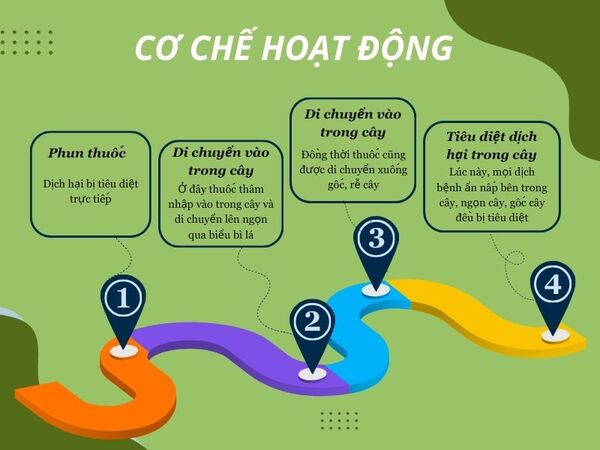 phun-thuoc-suong-mai-vao-buoi-nao