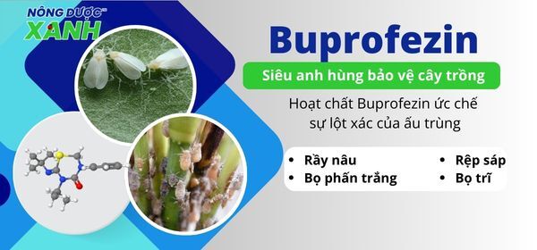 Hoạt chất Buprofezin - Siêu anh hùng bảo vệ cây trồng
