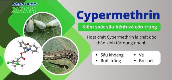Hoạt chất Cypermethrin - Chất độc thần kinh tiêu diệt côn trùng