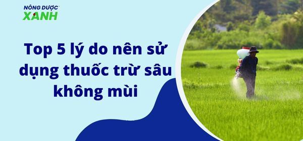 Top 5 lý do nên sử dụng thuốc trừ sâu không mùi