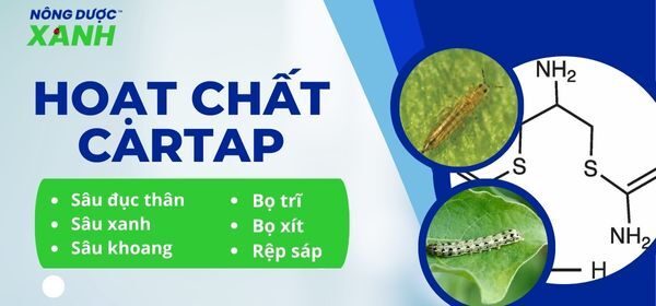 Hoạt chất Cartap phòng trị sâu hại - bạn của nhà nông