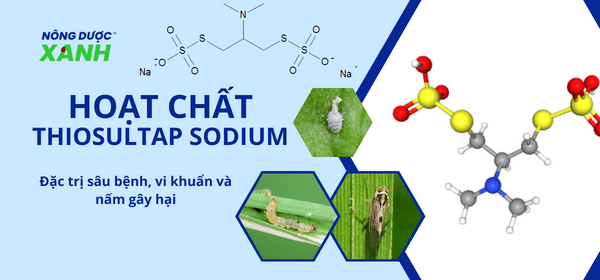 Hoạt chất Thiosultap Sodium – Khắc tinh của sâu bệnh gây hại