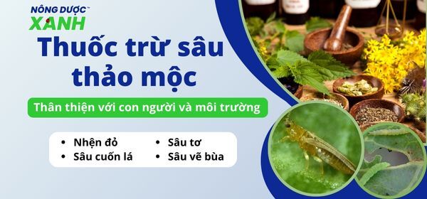 Thuốc trừ sâu thảo mộc thân thiện với con người và môi trường