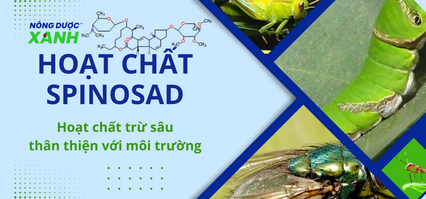 Hoạt chất Spinosad – Hoạt chất trừ sâu hữu cơ