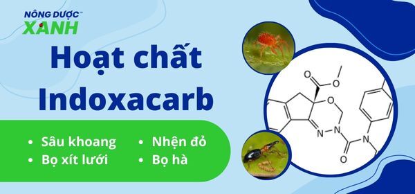 Hoạt chất Indoxacarb - Thuốc phòng ngừa côn trùng, sâu hại hiệu quả