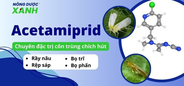 Hoạt chất Acetamiprid - Chuyên đặc trị côn trùng chích hút