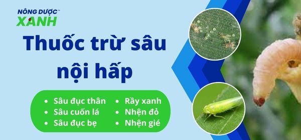 Thuốc trừ sâu nội hấp giải pháp bảo vệ cây trồng trong thời gian dài