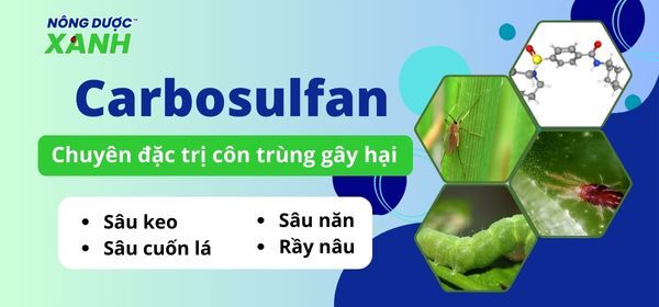 Hoạt chất Carbosulfan - Chuyên đặc trị côn trùng gây hại