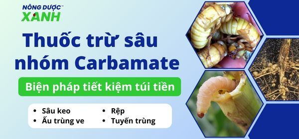 Thuốc trừ sâu nhóm Carbamate - Biện pháp tiết kiệm túi tiền cho Nhà Nông